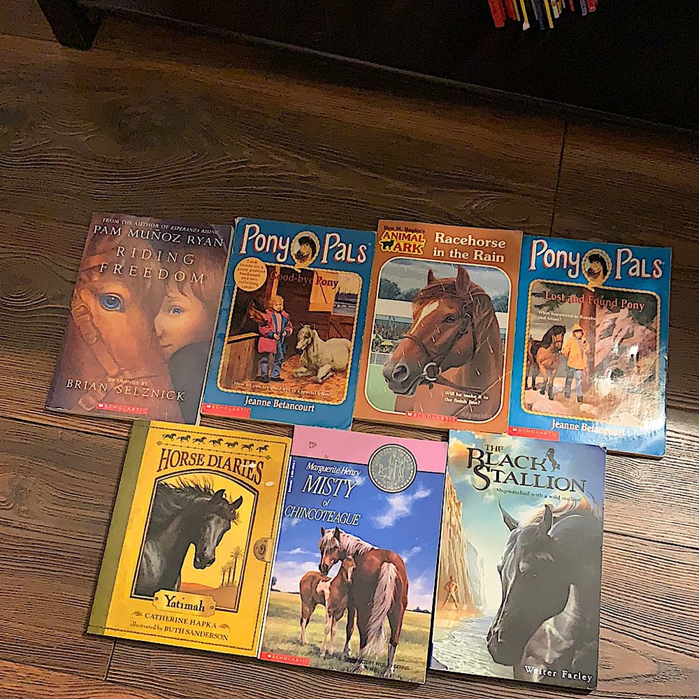 horse pony pal bundle of kid books some vintage